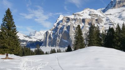 Gimmelen Trail
