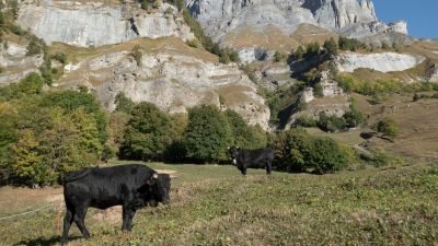 Walliser Sonnenweg, Etappe 1/4