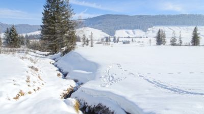 Rothenthurm-Winterwanderweg