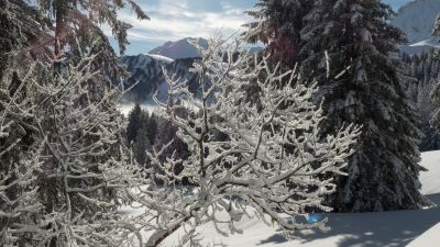 Selibüel-Winterwanderweg
