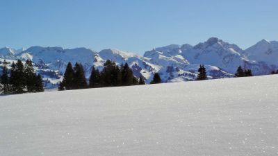 Jaunpass Trail