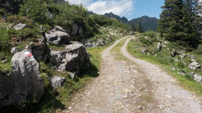 Karstspur Silberen