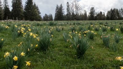Chemin du Jura bernois, Etappe 4/4