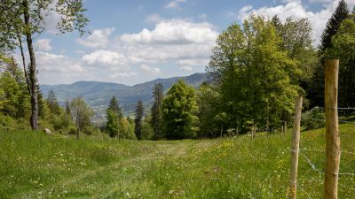 Chemin de Moron