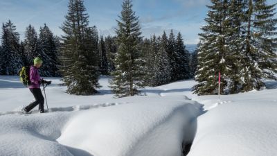 Dünzenegg Trail