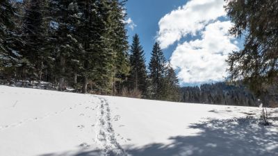 Parcours de l’Archette