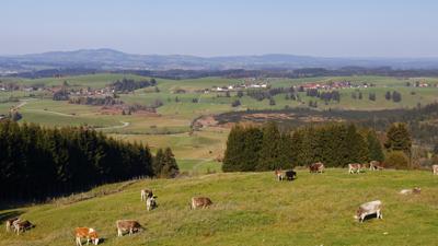 Hohe Bleick und Wolfskopf