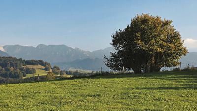 Schmutterweiher und Huttlerweiher