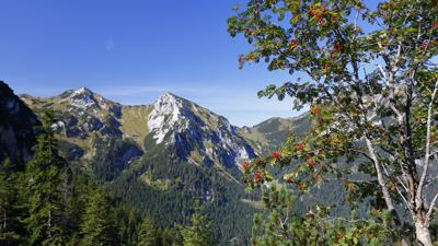 Vilser Kegel, 1831 m