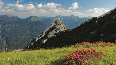 Schwarzhanskarspitze