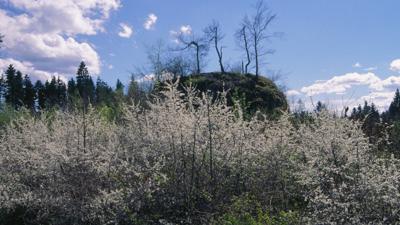 Dengelstein