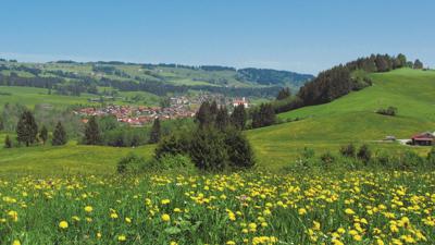 Untere Bichler Alp, 1073 m