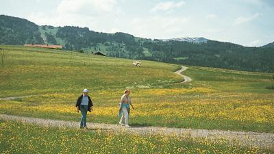 Wittelsbacher Höhe, 881 m