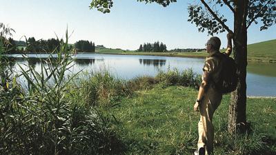 Trollweiher
