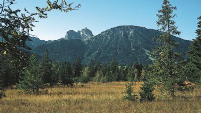 Tiroler Stadl, 1265 m