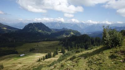 Piesenkopf, 1629 m