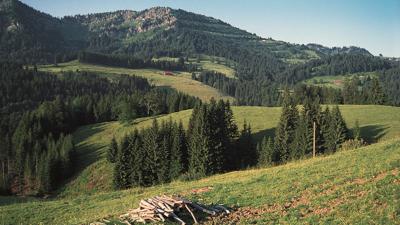 Falkenhütte, 1439 m