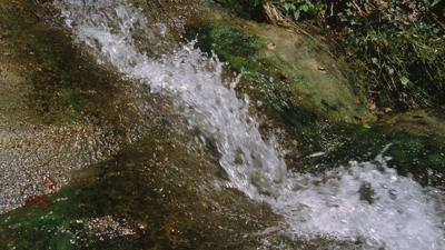 ﻿Herdwangen – Wälde – Waldhof