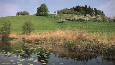 Oberlangnau – Langensee – Flunau
