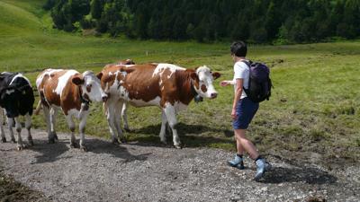 Gurnigel – Stockhorn, 2190 m
