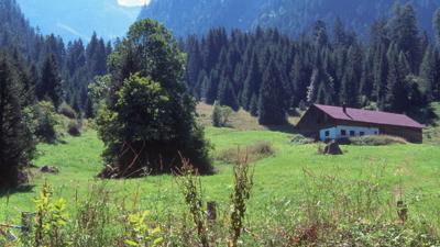 Komfortwandern nach Brand