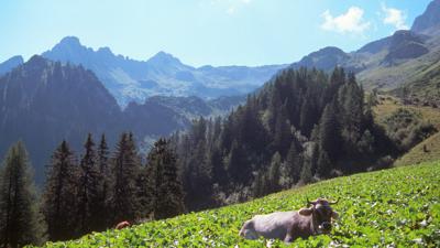 Nonnenalpe, 1639 m