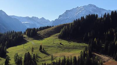 Innere Parpfienzalpe, 1516 m