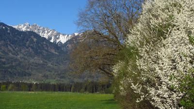 Zwischen Bludesch und Ludesch
