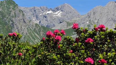 Wangspitze, 1873 m