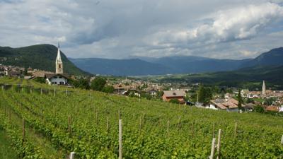Monte Roen vom Mendelpass