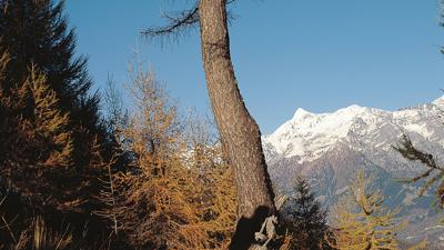 Pizzo Stella, 3163 m