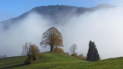 Schweizberg, 923 m