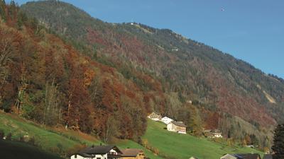 Wildmoosalpe, 1383 m