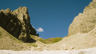 Wildes Gräshorn und Grünes Gräshorn