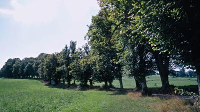 Ising und Castrum