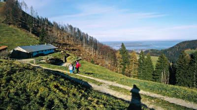 Haindorfer Berg, 1123 m