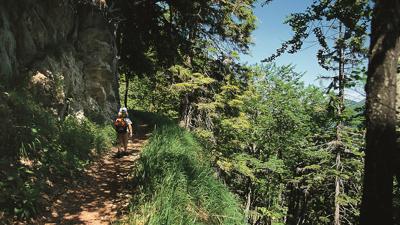 Laubenstein, 1350 m