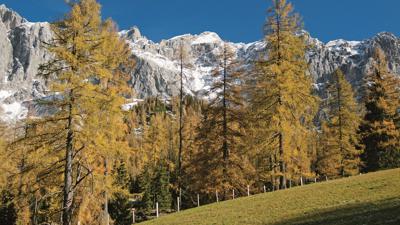 An der Dachstein-Südwand