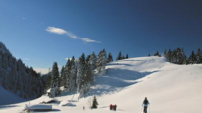 Laubenstein, 1350 m