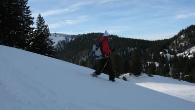 Predigtstuhl, 1494 m
