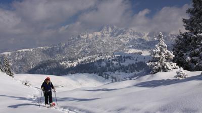 Kalkstein, 1506 m