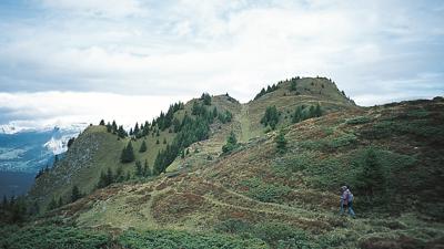 Crest dil Cut, 2015 m
