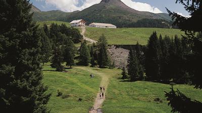 Klammbachalm und Nemesalm