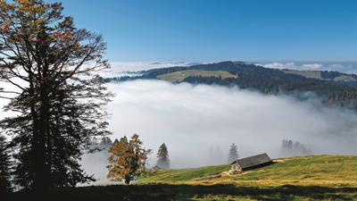 Tanzboden, 1443 m