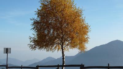 Monte Stino, 1467 m