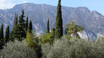 Pregasina – Cima di Mughera, 1161 m