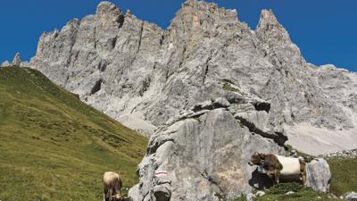 Schweizertor, 2137 m