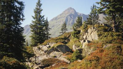 Gantekopf, 1958 m