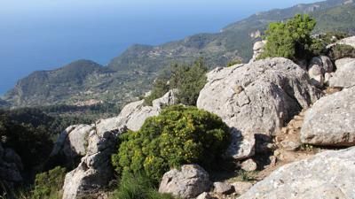 Puig de Galatzó (von Westen)
