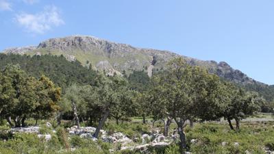 Puig Tomir, 1104 m
